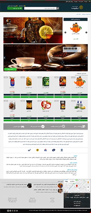 طراحی فروشگاه اینترنتی با قالب shop17
